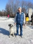 ВЫСТАВКИ - Выводка МООиР 2013